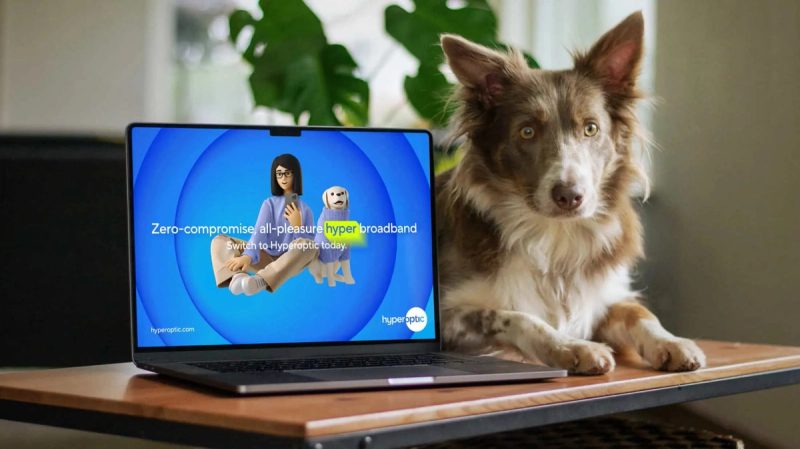 Laptop and dog