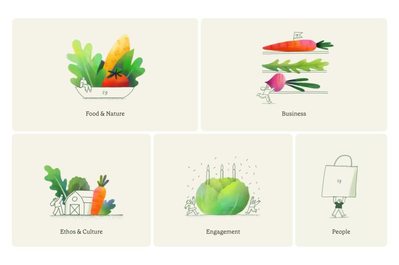 Story illustrations