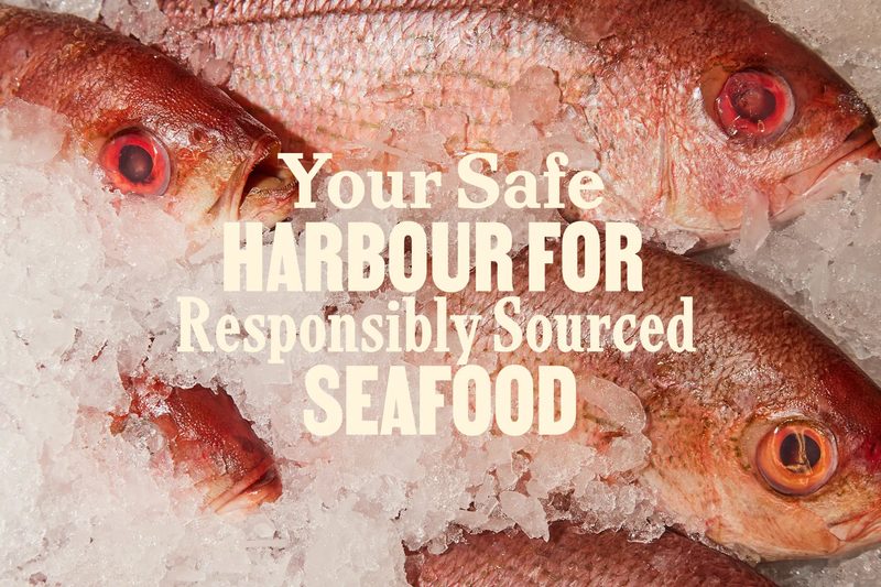 Safe harbour