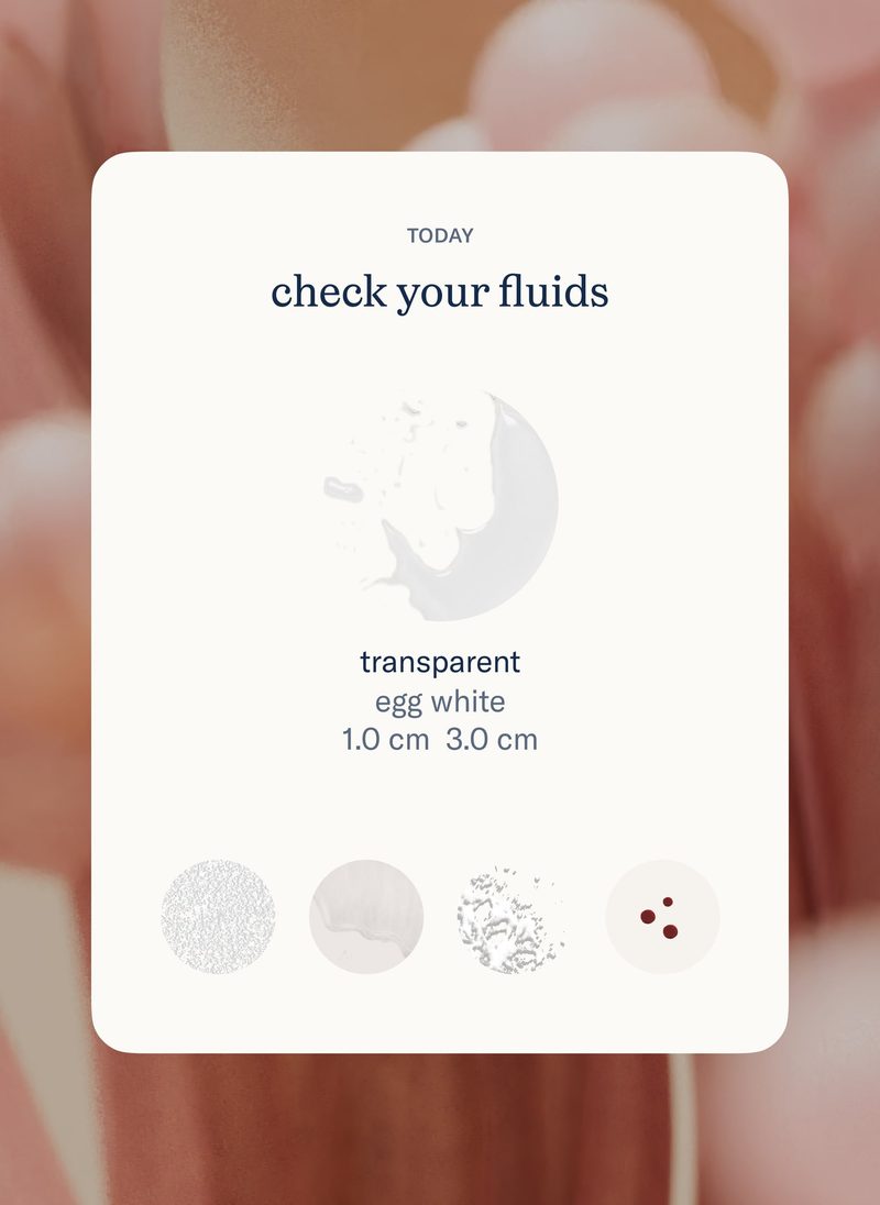 Check your fluids
