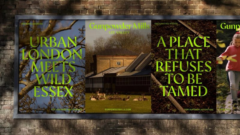 Lime-green wall triptych