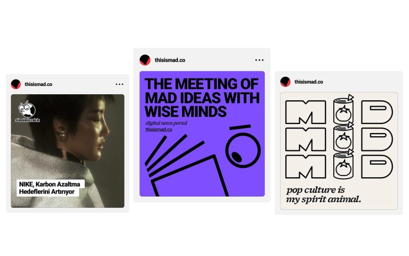 Wise minds