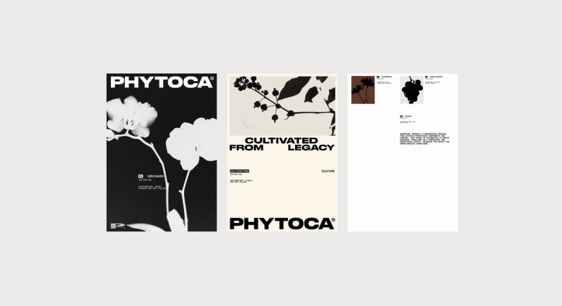 Identity poster series