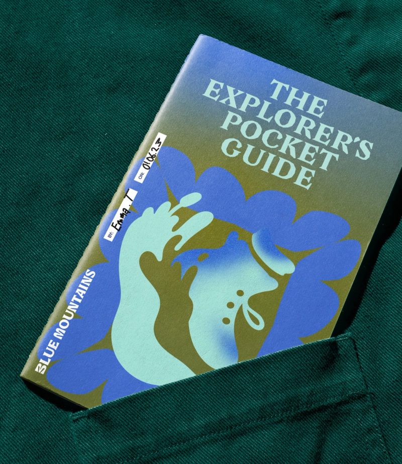 Pocket guide