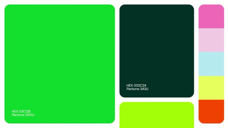 DailyFood Color Palette: Palette build, 2024 brand identity by Bauns Agency