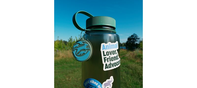 Water bottle