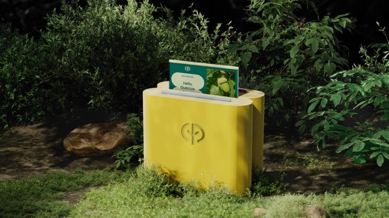 Yellow Discovery Box in Natural Setting
