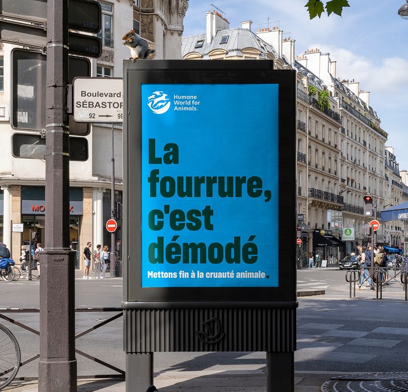 La fourrure