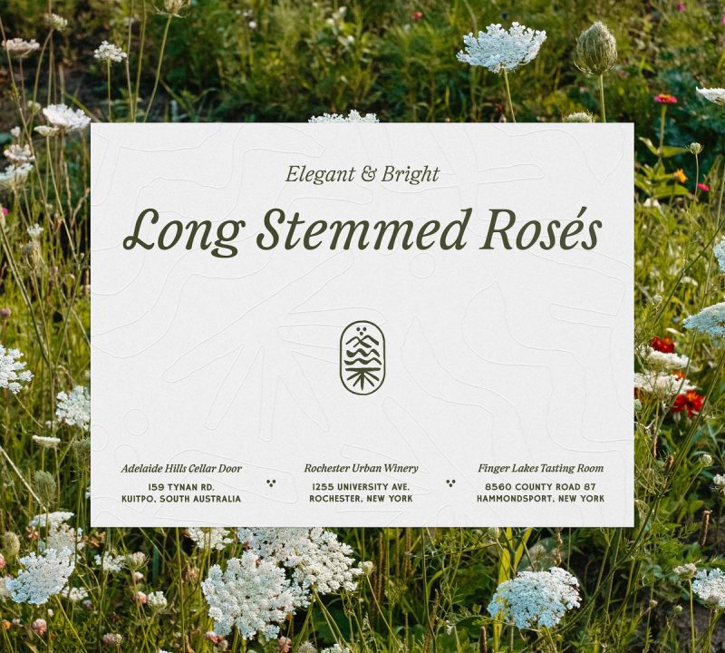 Long Stemmed Rosés