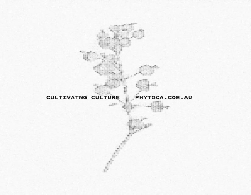Phytoca Art Direction: Glitch botanical typography, 2026 brand identity by After Hours