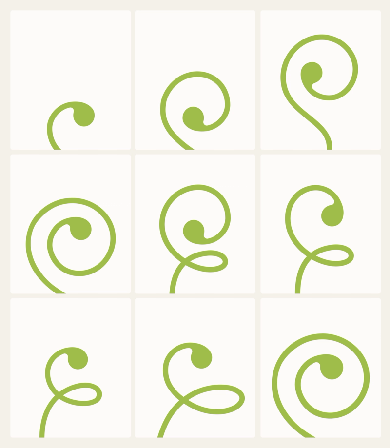 Growth symbol variations