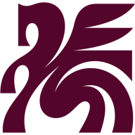 Dallas Trinity FC logo