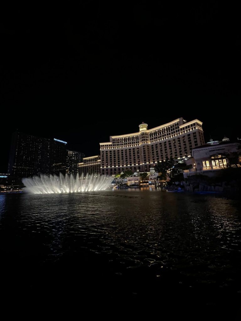 Viva Las Vegas! Najlepsze kasyna, show i atrakcje miasta