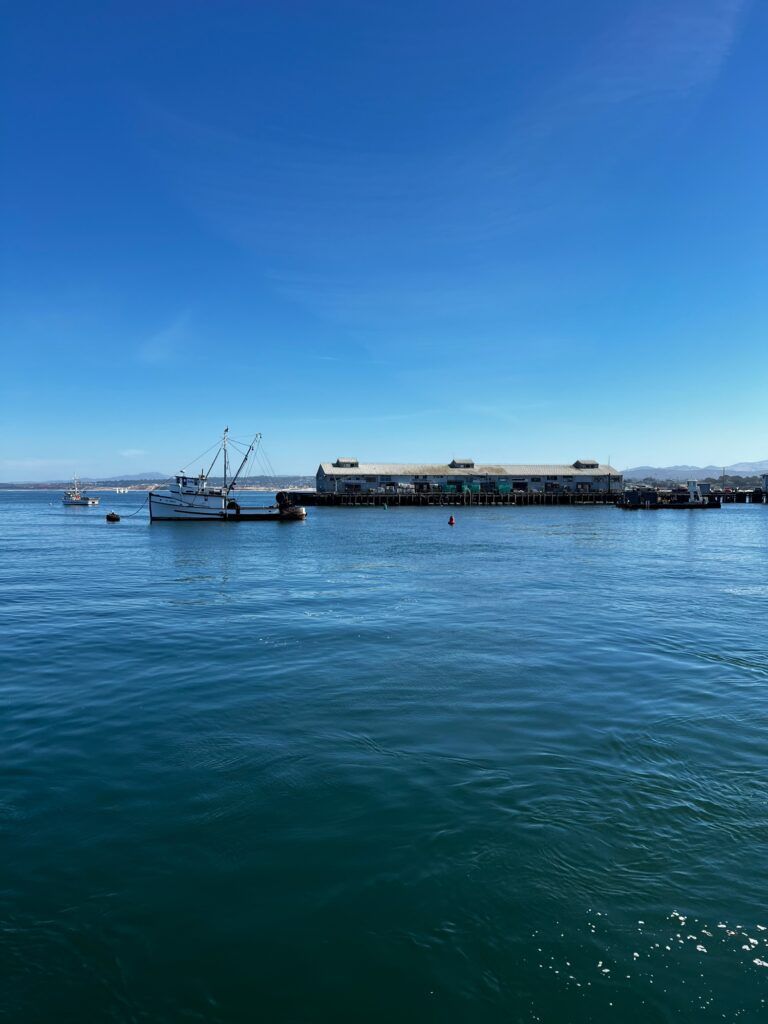 Monterey. Urocze miasteczko Kalifornii i rejs na obserwację wielorybów