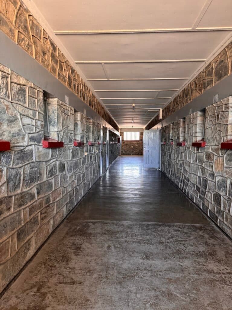 Kapsztad – co zobaczyć? Robben Island i podróż przez historię