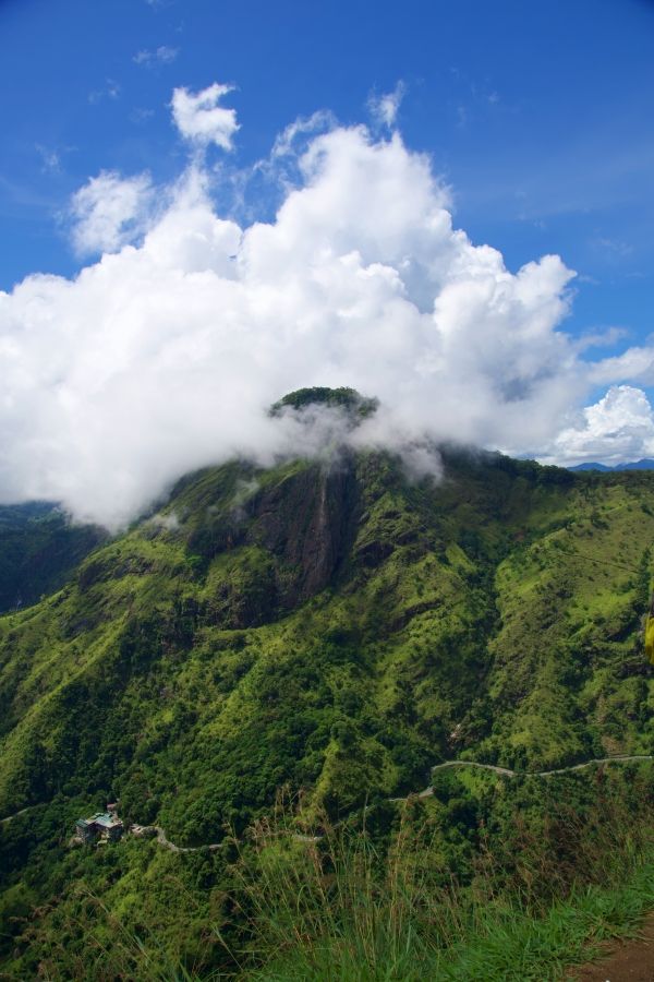 Sri Lanka atrakcje – plantacje herbaty i inne skarby wyspy