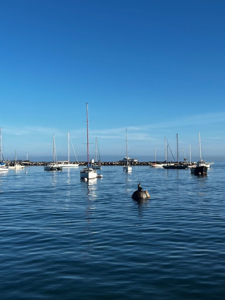 Monterey. Urocze miasteczko Kalifornii i rejs na obserwację wielorybów