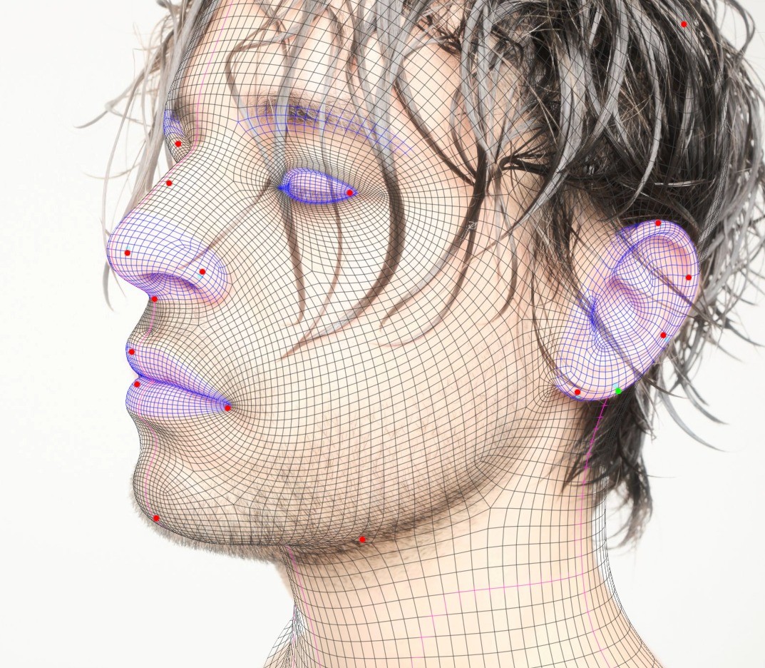 3D head model for the cover with its mesh overlaid: a fine grid over the skin, eye, nose, lips and ear highlighted in blue with red marker points.
