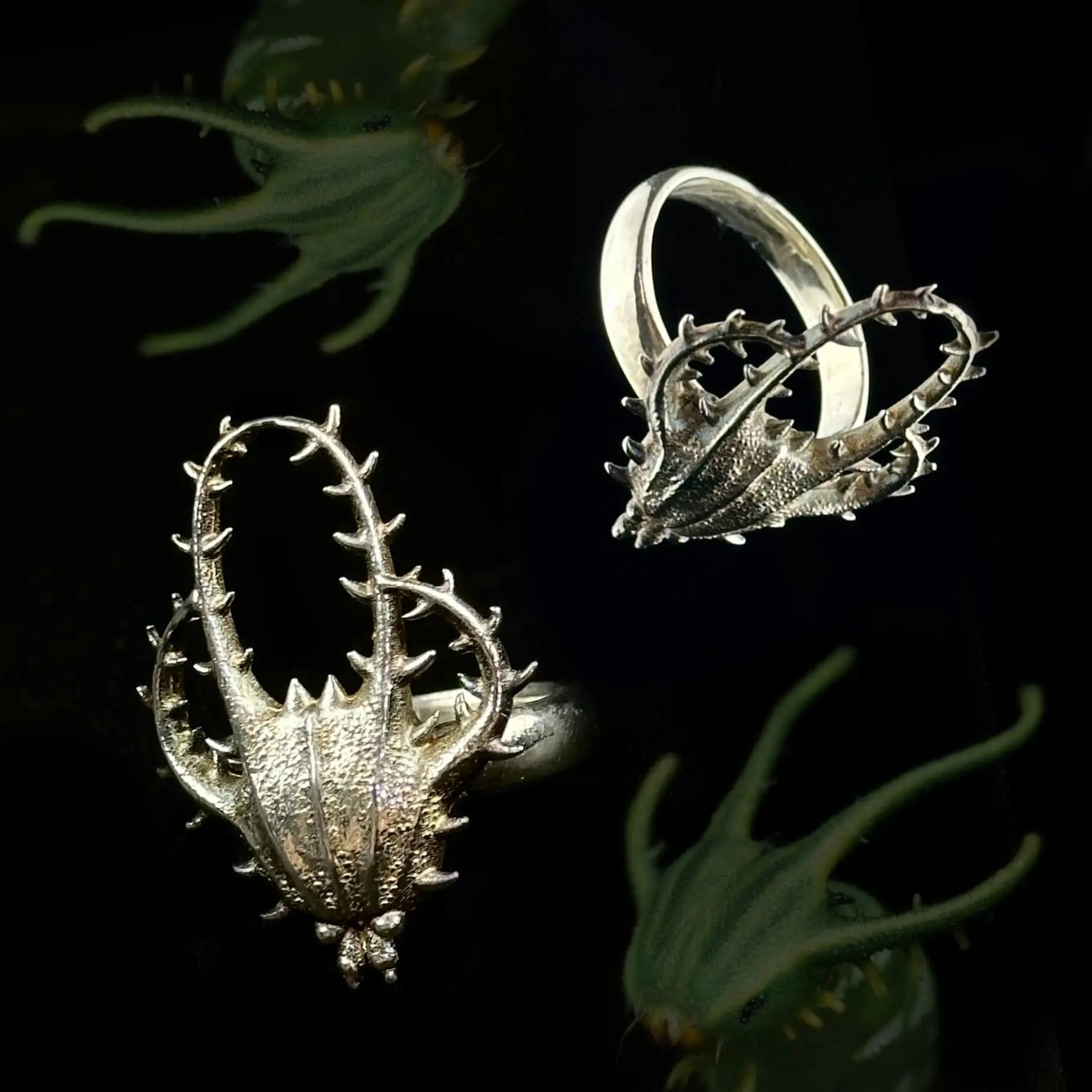 Larval ring