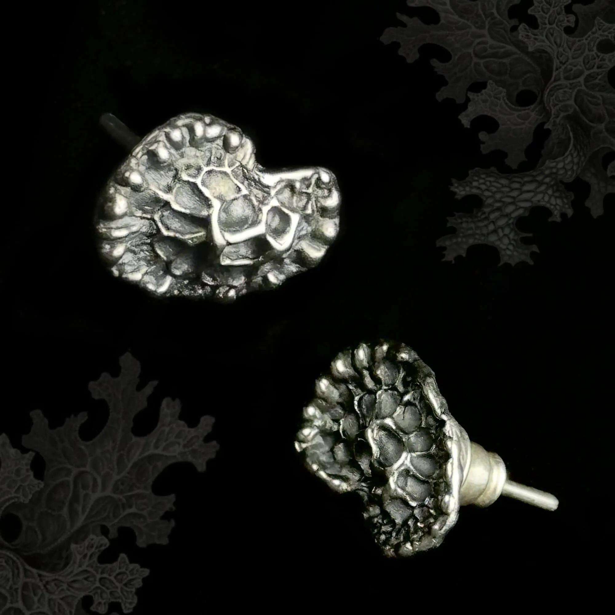 Lichen studs