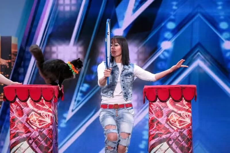 Cat jumping through hoop