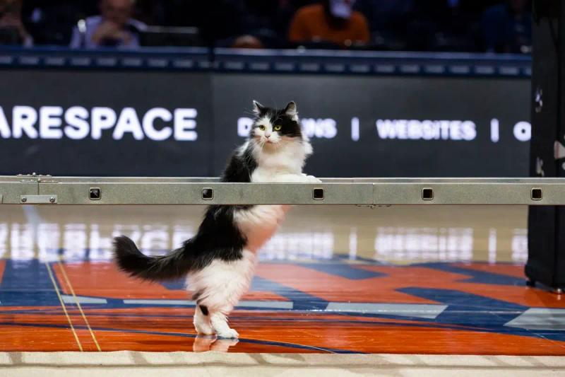 Dasha doing the ladder jump