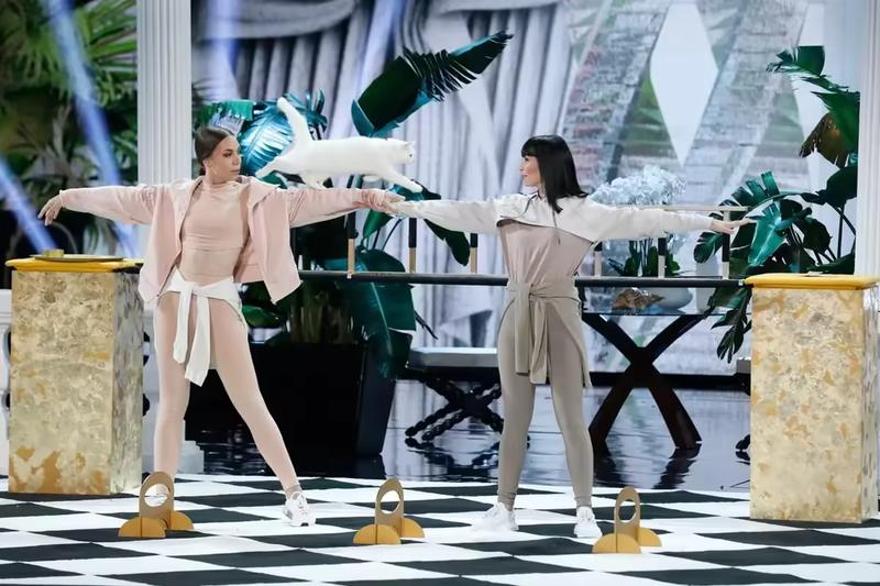 Cat walking across arms