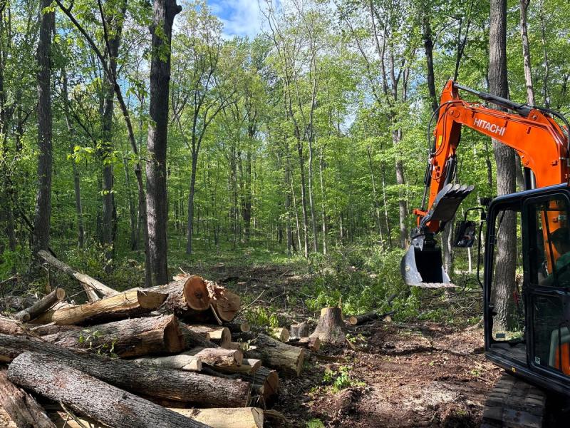 Excavator clearing land for the home