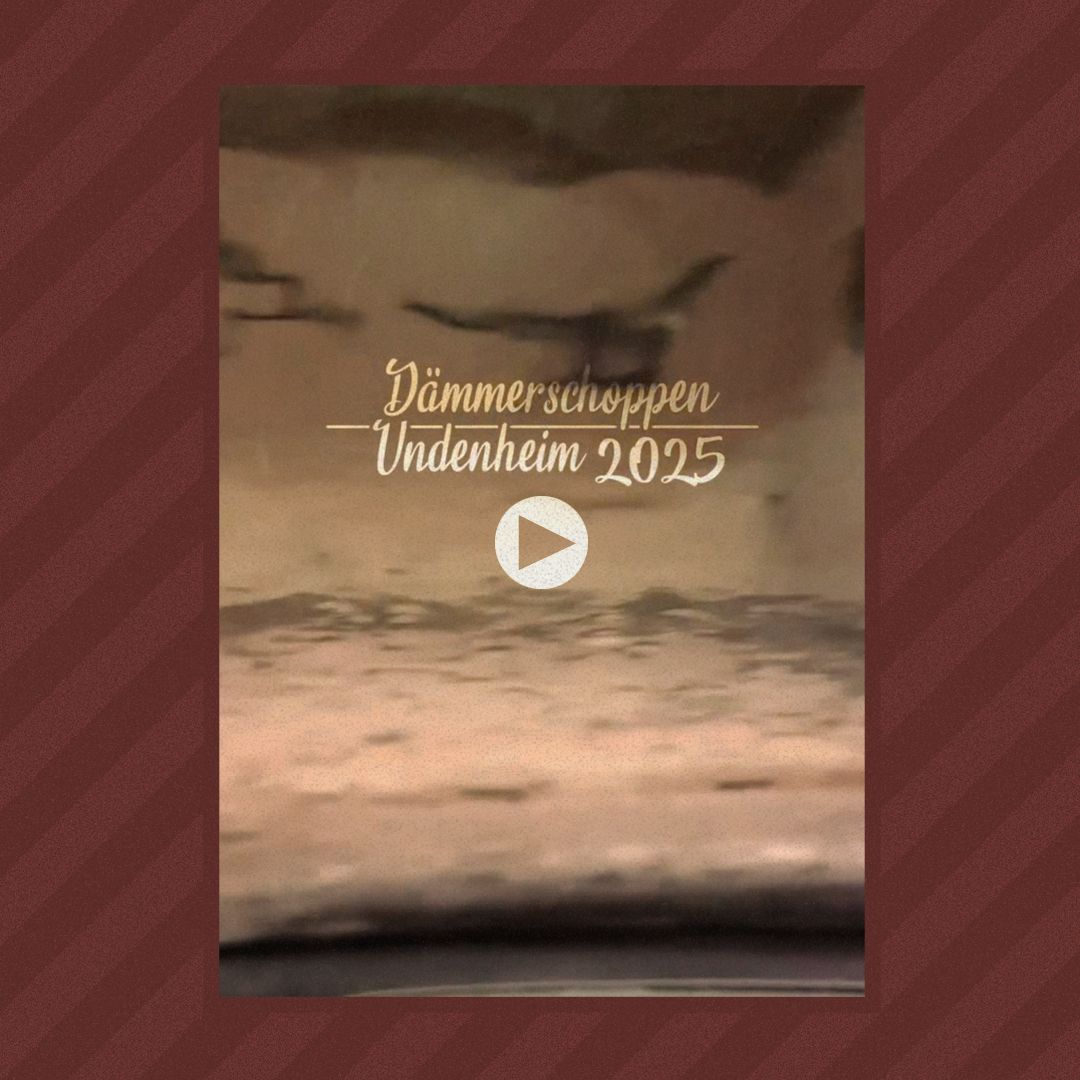 29. August 2025, Dämmerschoppen, Undenheim  #Peifedeggel #Akustik #Gitarrenmusik #Dämmerschoppen #Livemusik #Pfalz #Rheinhessen #Konzert #Weinschorle #Wein #Alzey #Undenheim #Unerum #Unnerum #Mainz #FritzWunderlich #BackstreetBoys #IWantItThatWay #GreenDay #BoulevardOfBrokenDreams #Oasis #Wonderwall