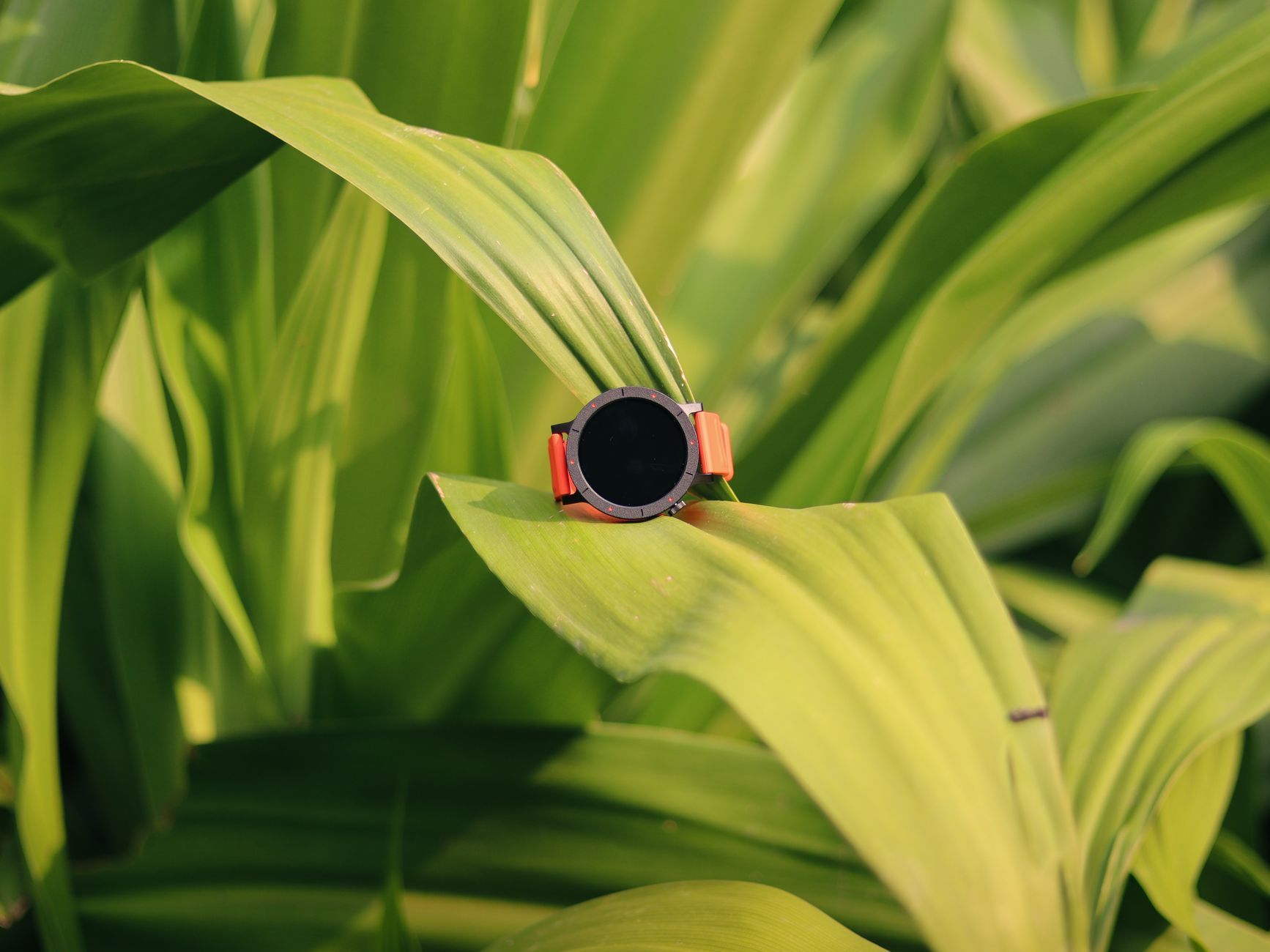 Amazfit szykuje rewolucję: asystent AI, MCP i panel www