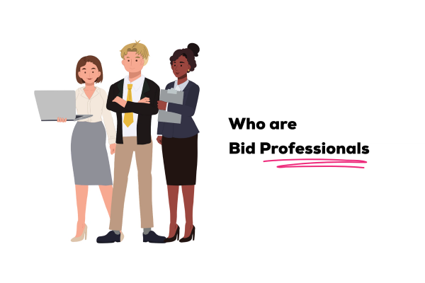 Who are bid professionals — bid manager, proposal manager and bid team roles explained