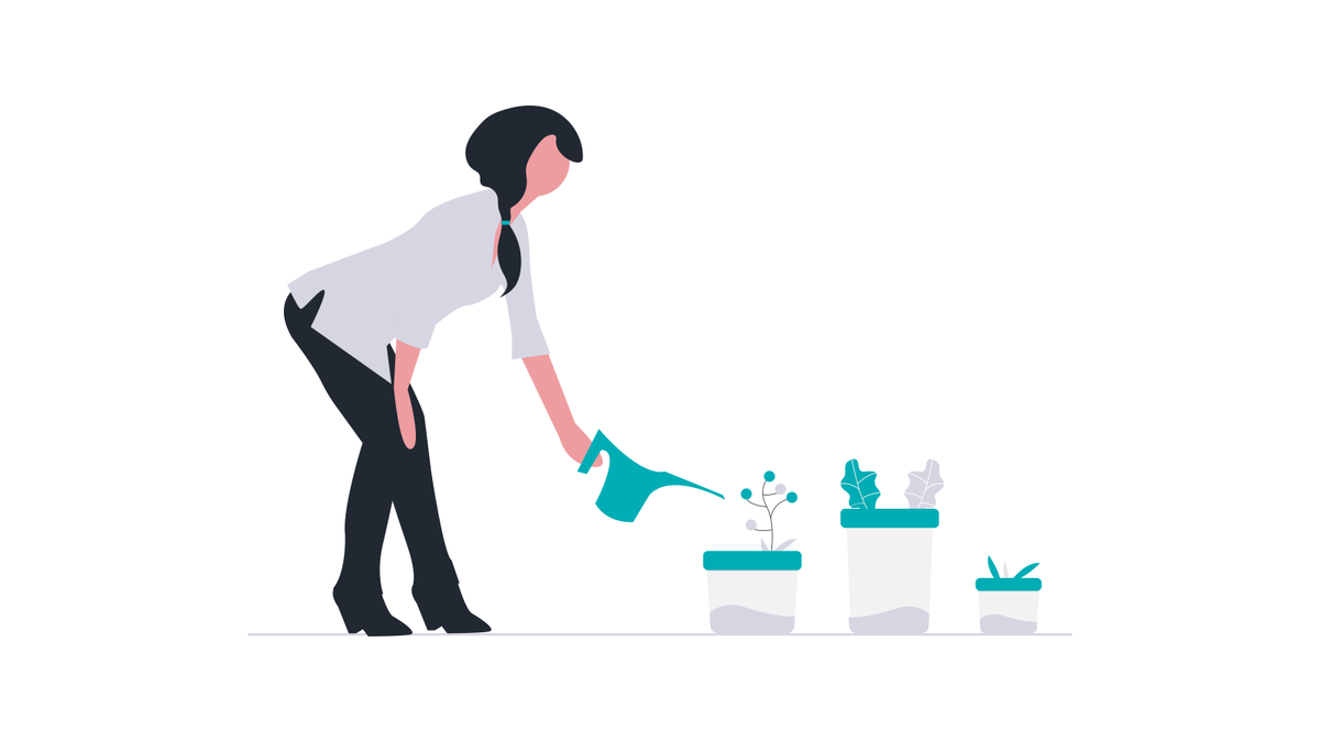 Illustration of a person watering young plants, representing sustainability and long-term social value commitments