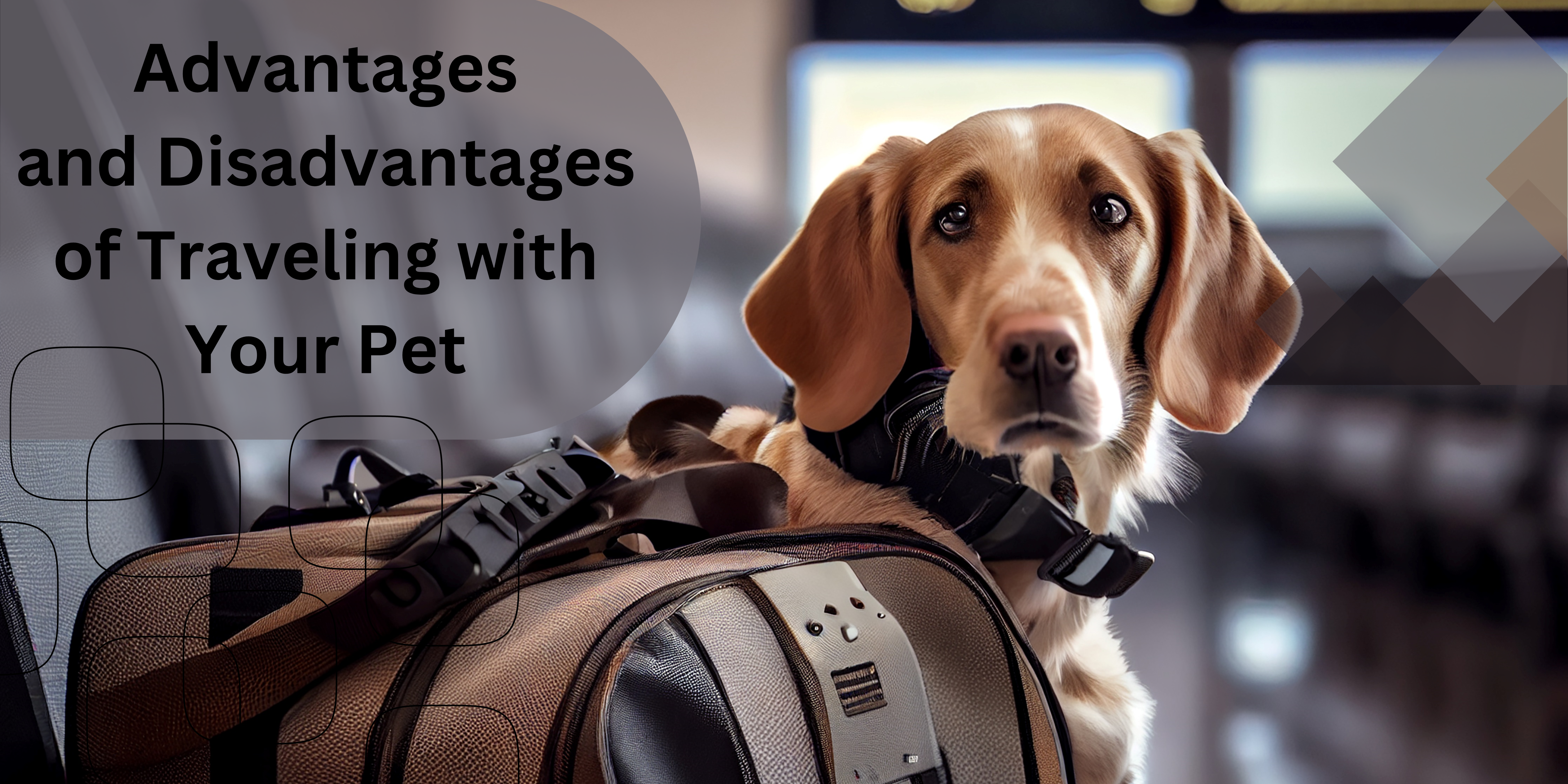 Advantages and disadvantages of traveling with your pet