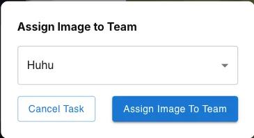 Assign to team