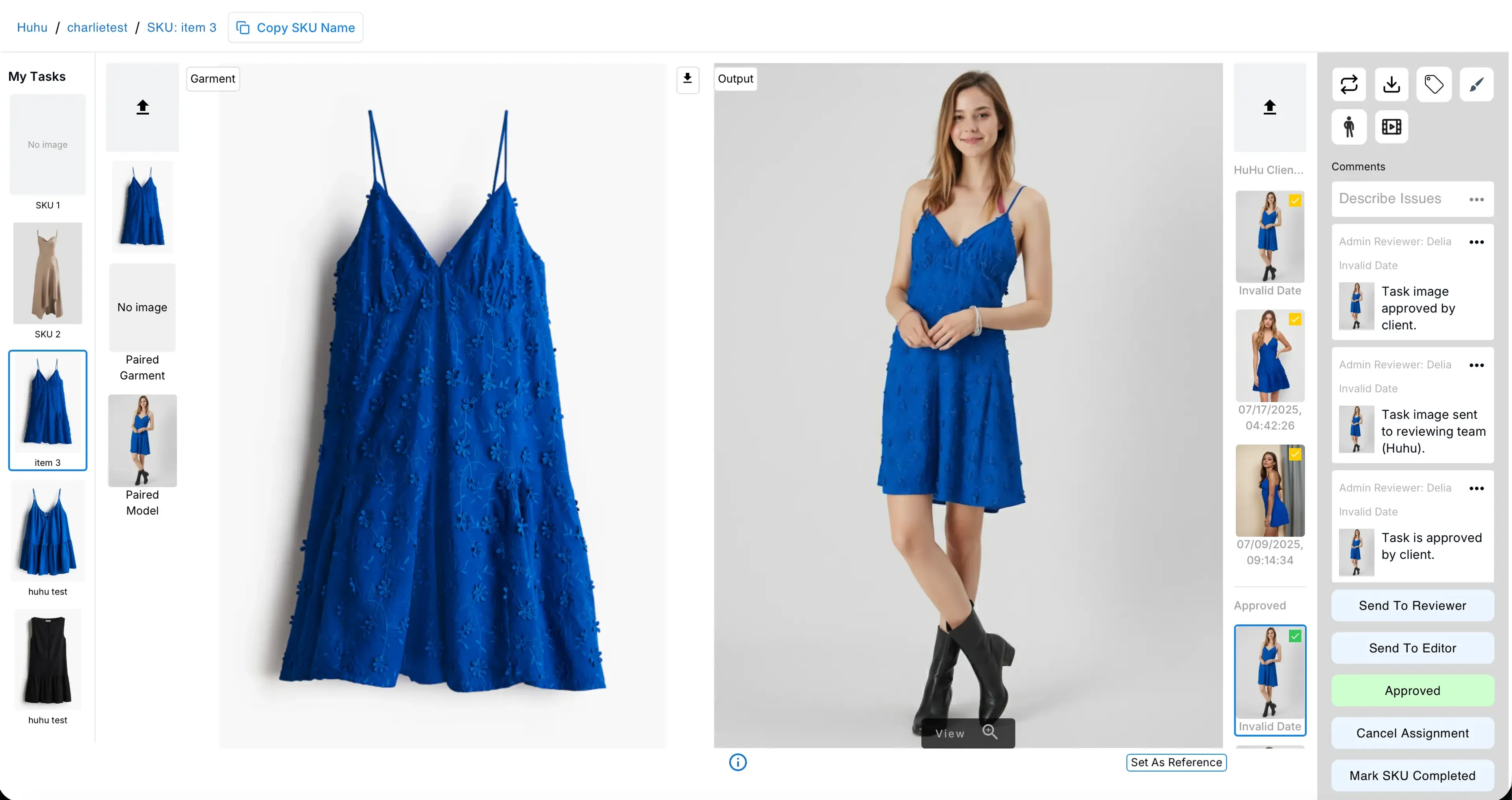 Reviewer Review Page from My Task