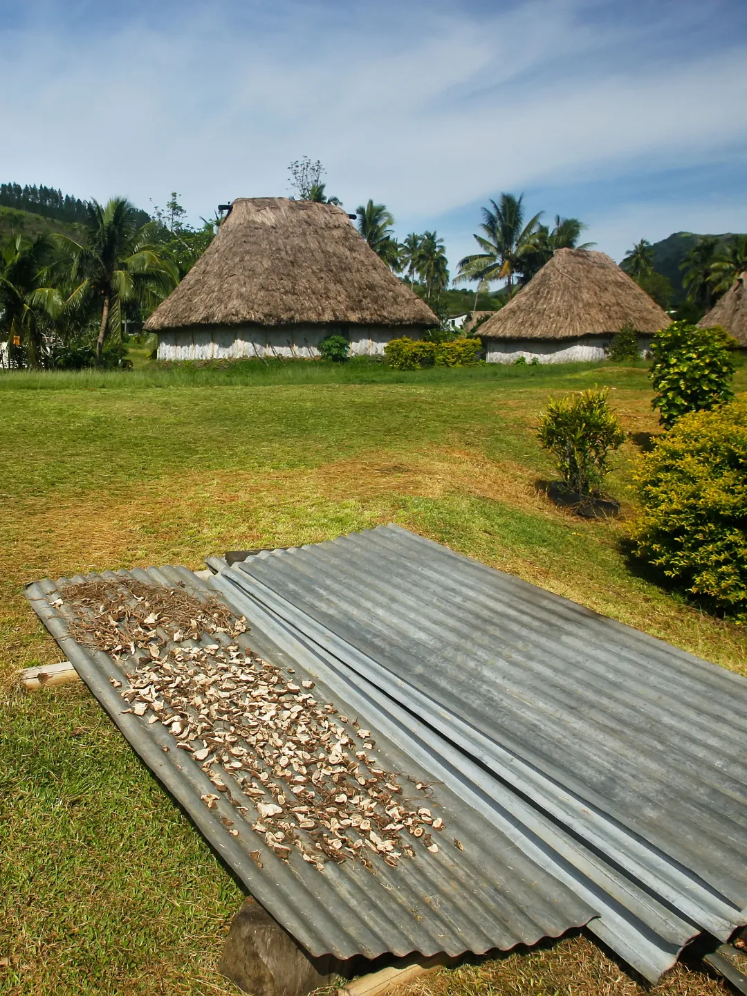 History Section Image
