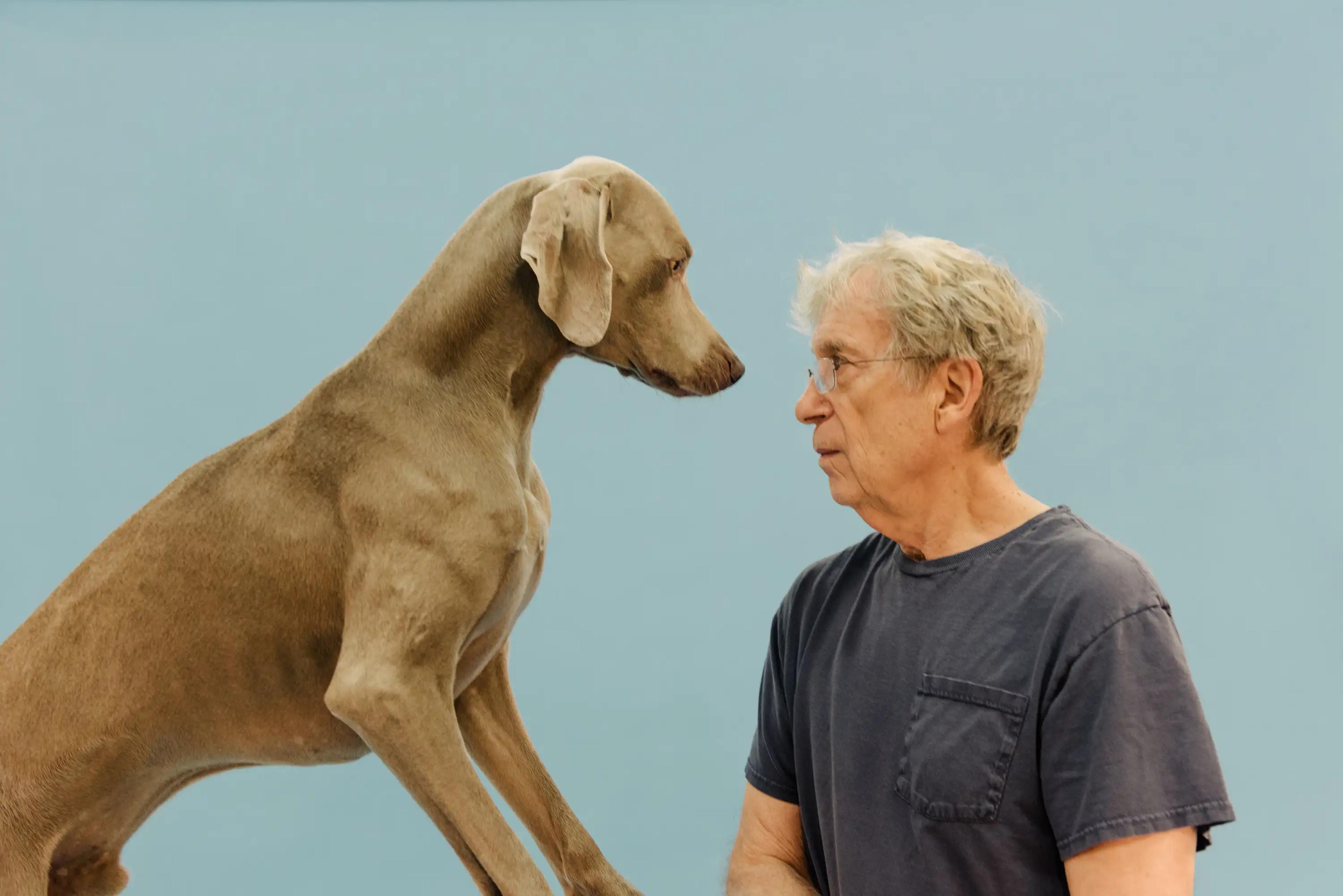 William Wegman
