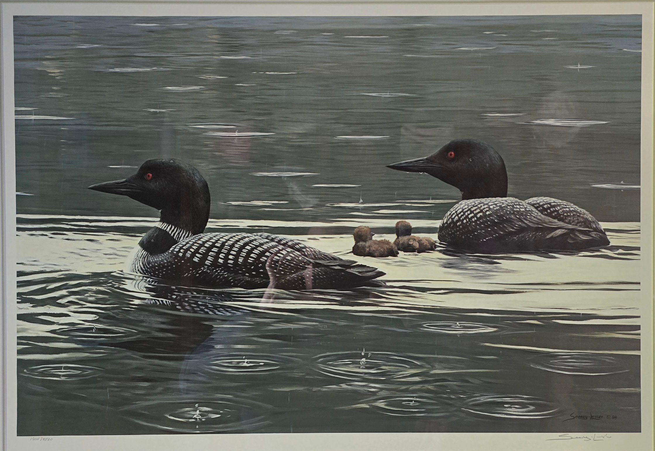 Mirror of 2 Ducks W1ith Light Rain, Acrylic on Strathmore