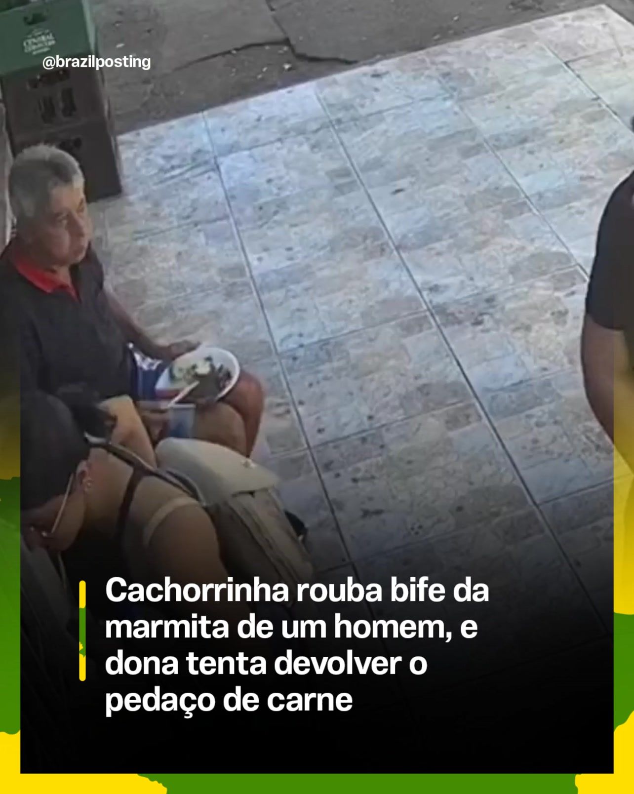 Cachorrinha rouba bife da marmita, dona vê tudo pela câmera e tenta devolver o pedaço de carne