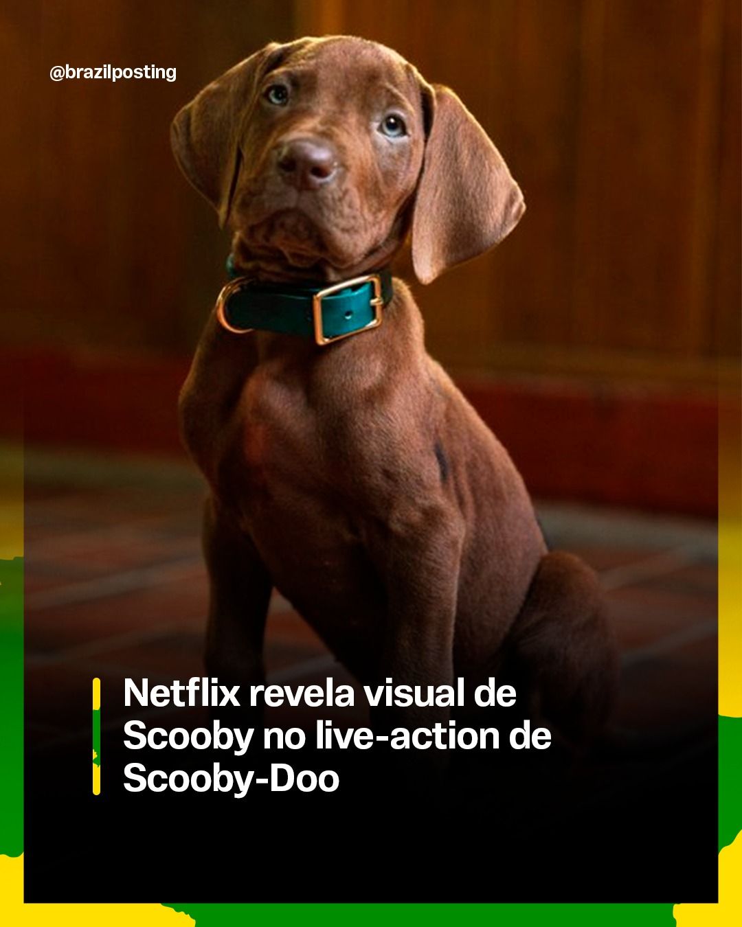 Netflix revela visual do Scooby no live-action 'A Origem' e confirma: vai ser dogue alemão de verdade, sem CGI