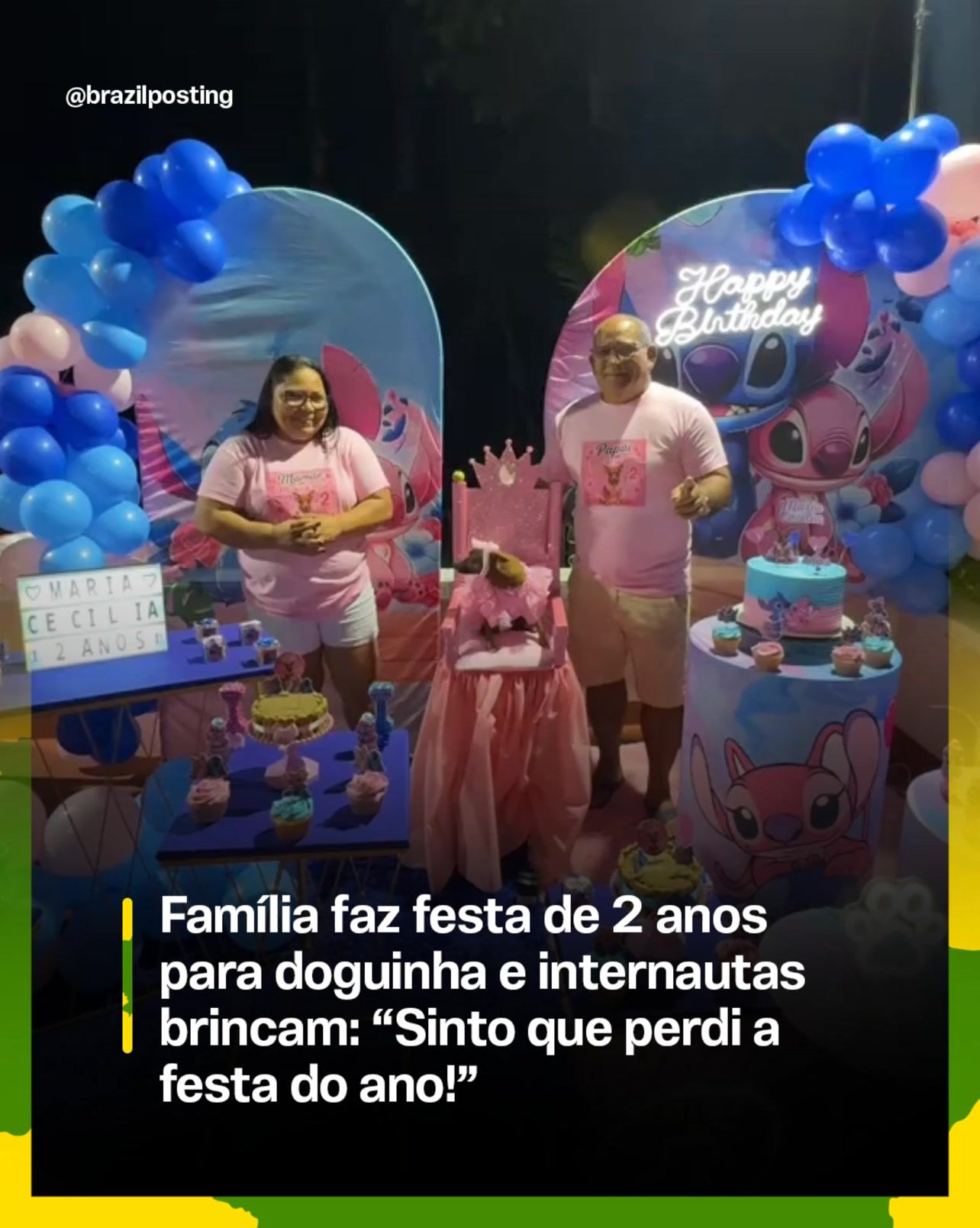 Festa de 2 anos com tema do Stitch para cadelinha viraliza e expõe o tamanho do mercado de aniversário pet no Brasil