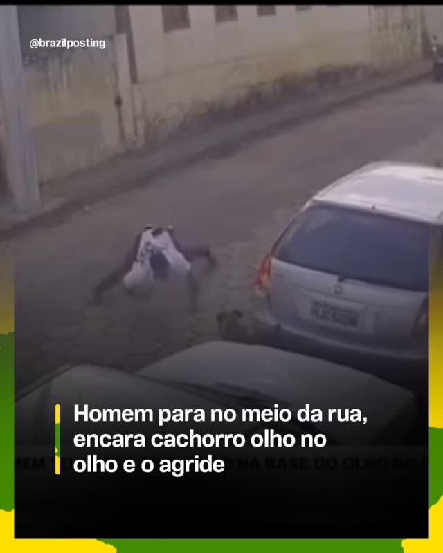 Vídeo de homem agredindo cachorro 'olho no olho' em rua de paralelepípedo é real e aconteceu em Rio das Pedras (SP)