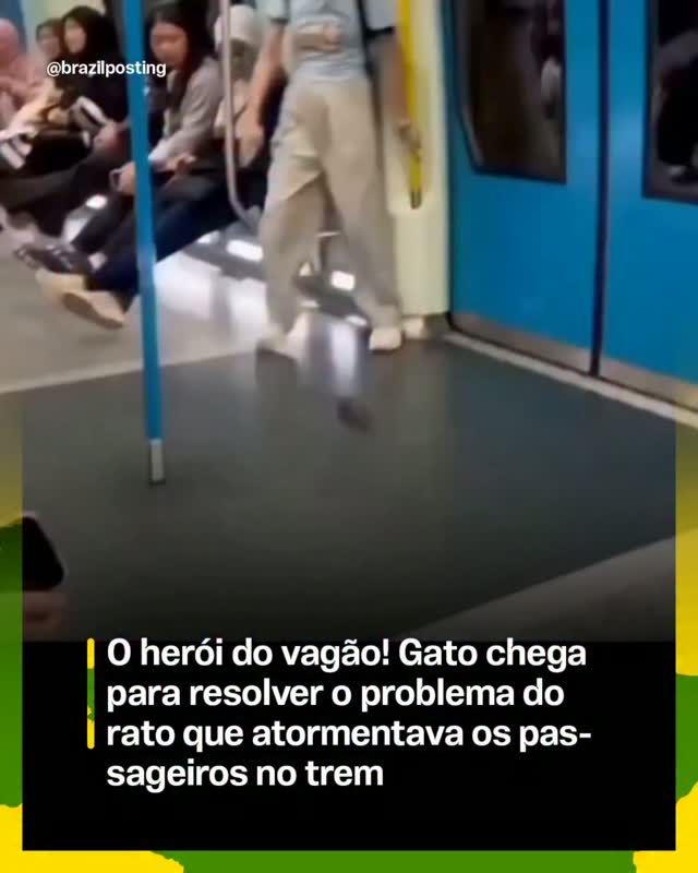 Gato caça rato por instinto: comportamento natural confirmado