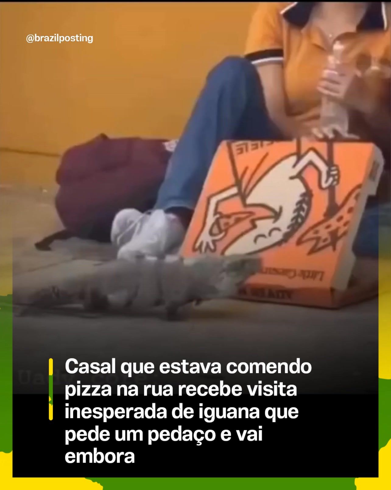 Iguana se aproxima de casal comendo pizza em calçada no México, ganha um pedaço e vai embora sem fazer drama