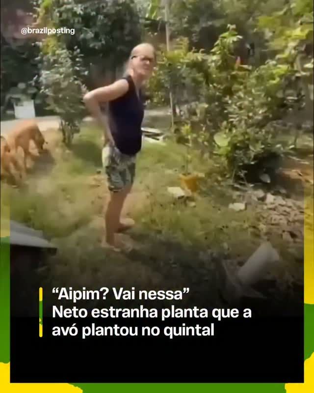 Aipim: a raiz da confusão entre gerações nas plantações brasileiras