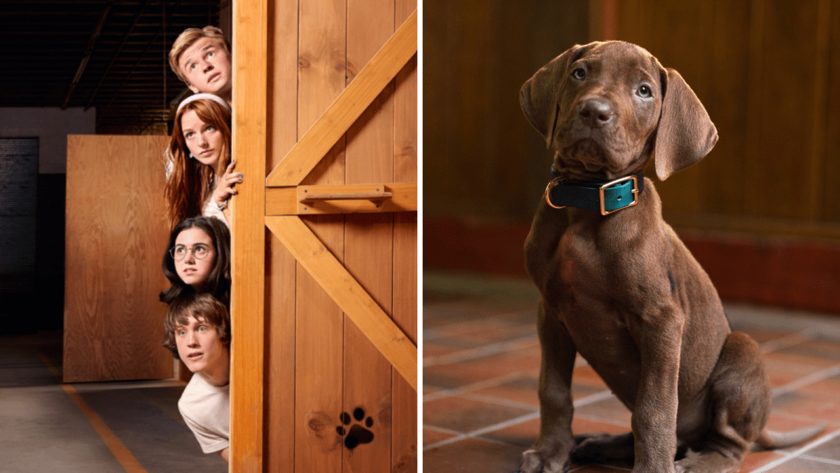 Netflix revela primeira imagem de Scooby-Doo em nova série live-action