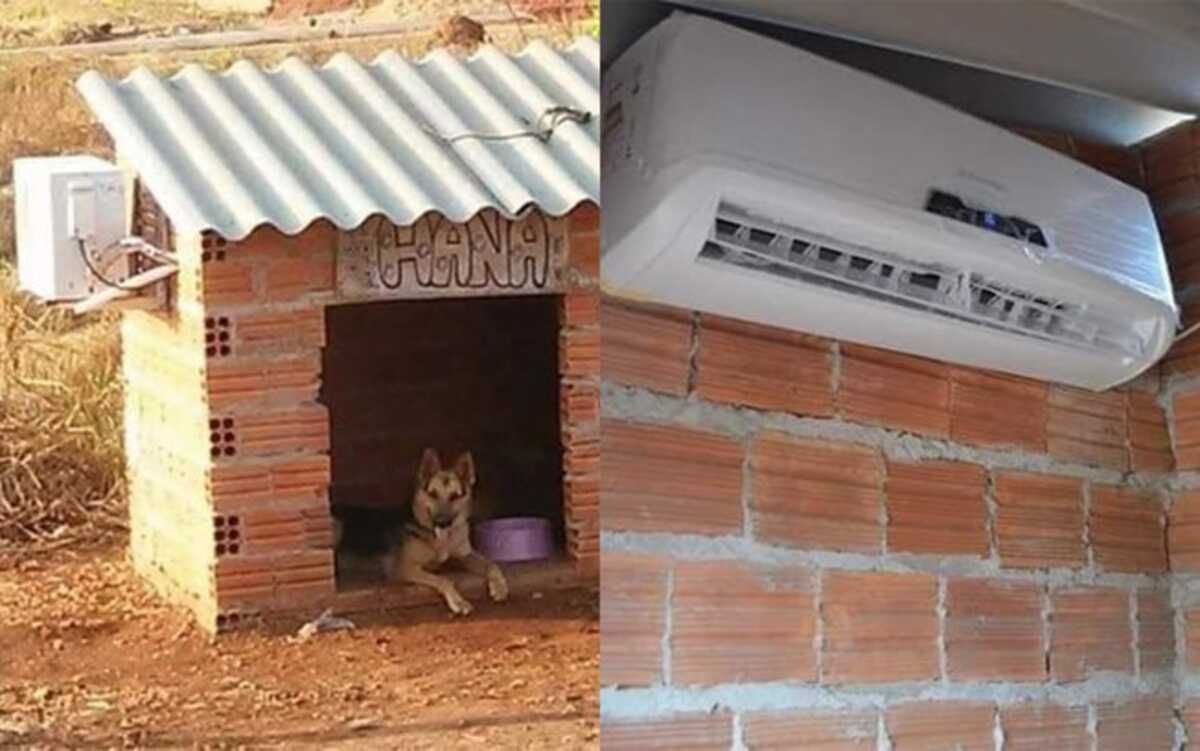 A 'catiora' se deu bem! Casinha de cachorro com ar condicionado viraliza nas redes sociais