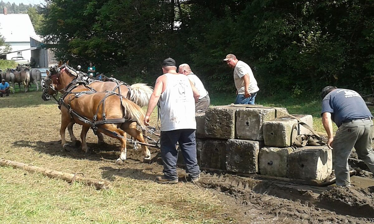 Horse pulling