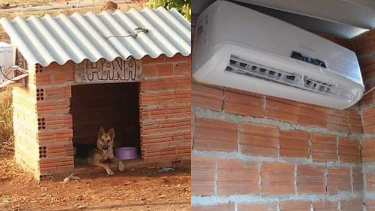 Viralizou: Casinha de cachorro com ar condicionado chama atenção de internautas