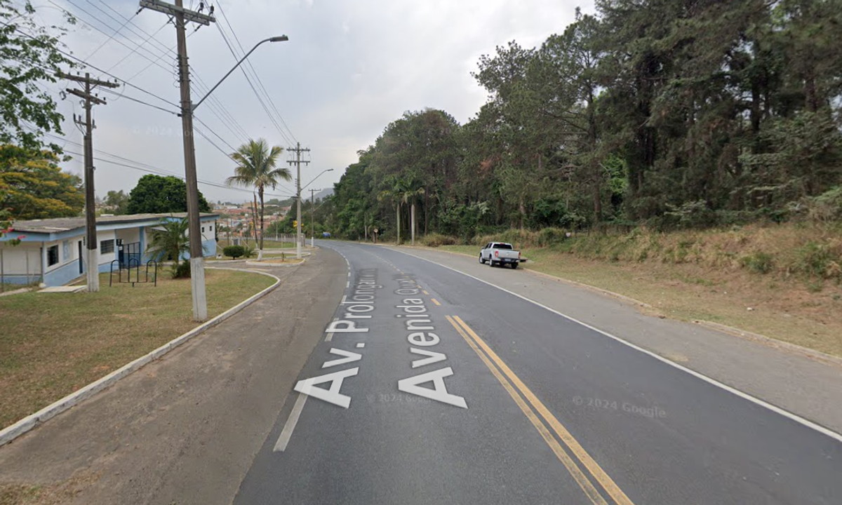 Cachorros atacam ciclistas na entrada de Itirapina; Animais precisam ser acolhidos e tratados